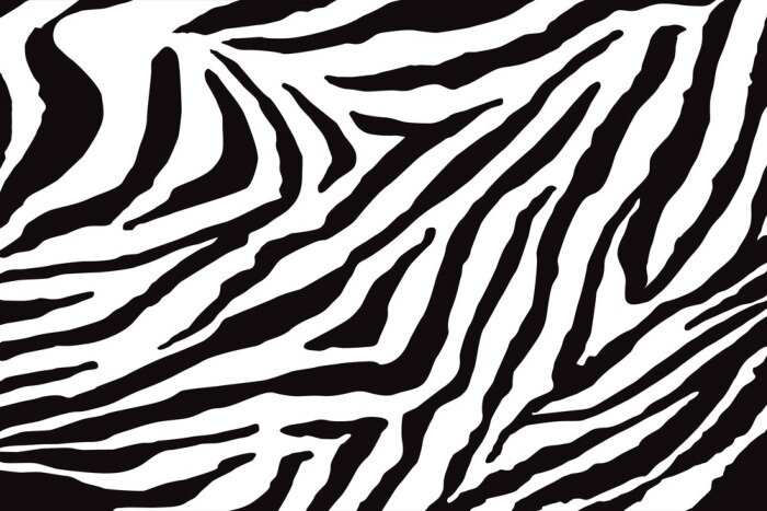 Fotobehang Zebraprint