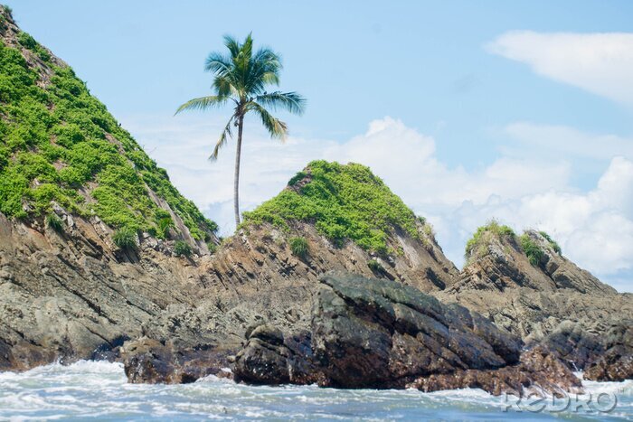 Fotobehang Zee en planten in Costa Rica