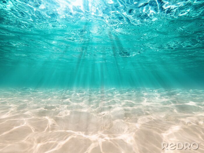 Fotobehang Zeezicht onder water