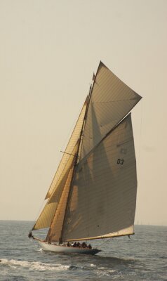 Fotobehang Zeilboot bij een regatta