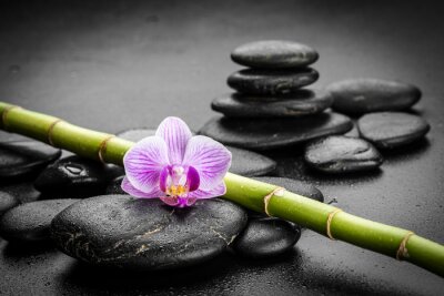 Sticker zen stenen