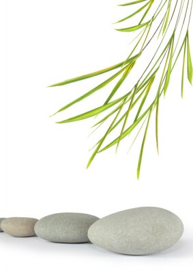 Zen-stenen en een takje delicaat gras