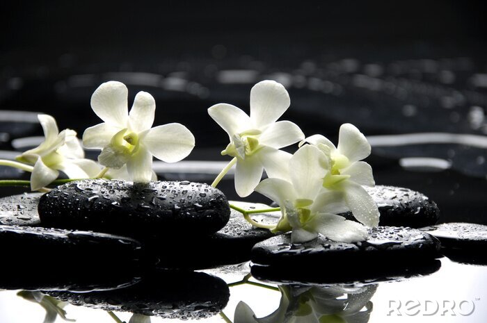 Fotobehang Zen stenen en witte orchideeën met reflectie
