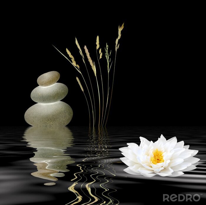 Fotobehang Zen Symbolen