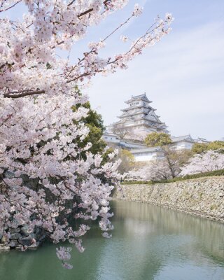 Fotobehang Zicht op het Japanse kasteel