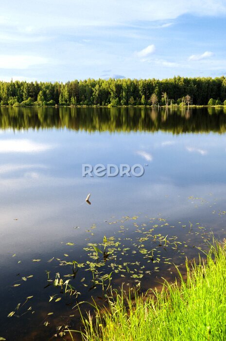 Fotobehang zomerochtend lake