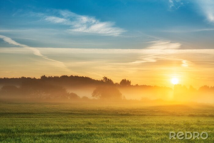 Fotobehang Zomerzonsopgang boven gouden velden