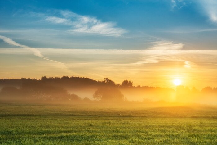 Fotobehang Zomerzonsopgang boven gouden velden