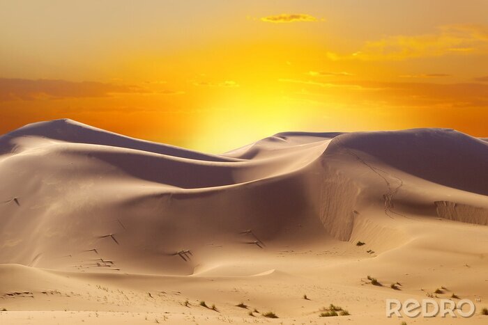 Fotobehang Zon achter het woestijnpanorama
