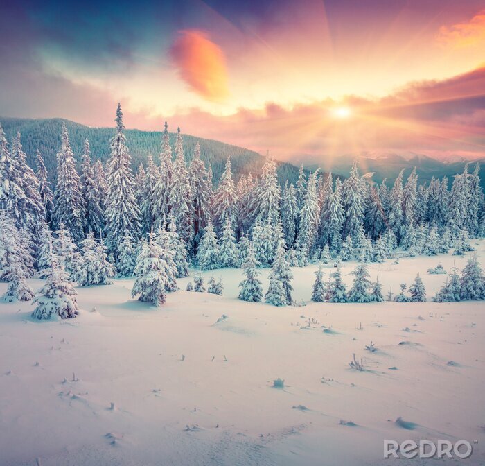 Fotobehang Zon in de winterse bergen