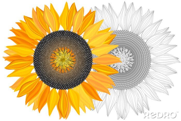 Fotobehang Zonnebloemen in een grafisch ontwerp