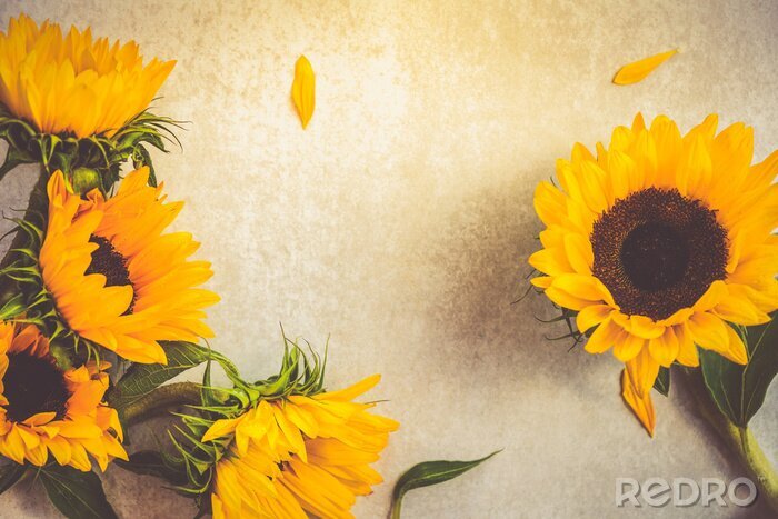 Fotobehang Zonnebloemen op een beige tafel