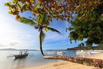 Zonnig landschap met strand