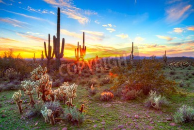 Fotobehang Zonsondergang boven de Sonora woestijn