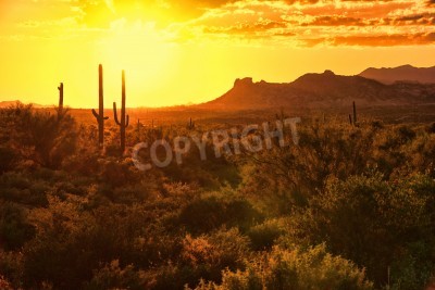 Fotobehang Zonsondergang in de woestijn