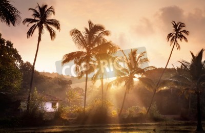 Fotobehang Zonsondergang met palmbomen