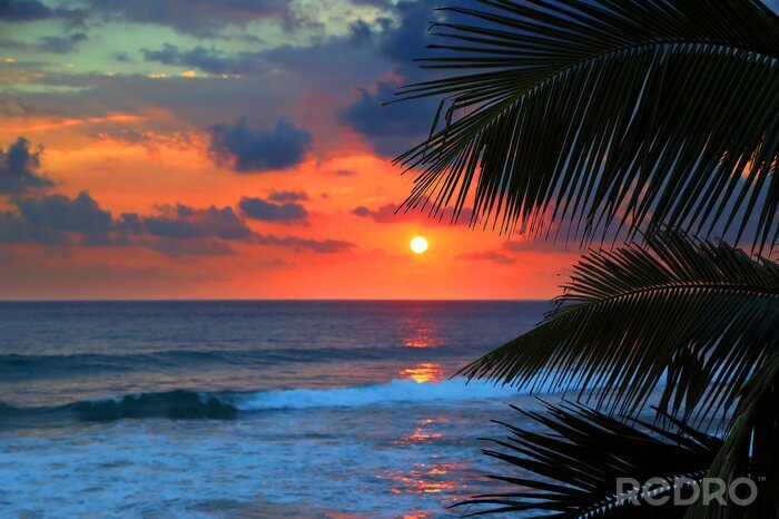 Fotobehang Zonsondergang onder de palmbomen