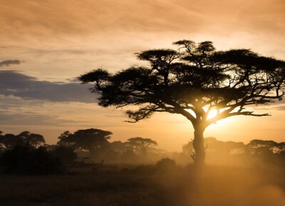 Zonsondergang op de Afrikaanse savanne
