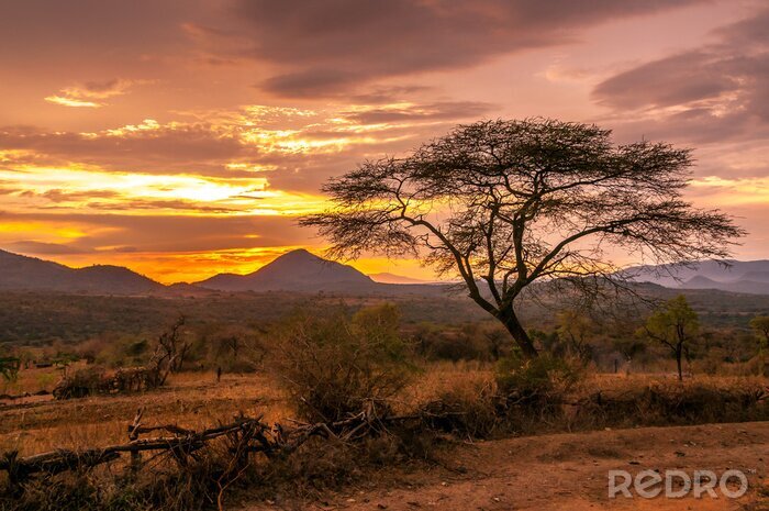 Fotobehang Zonsondergang op de savanne
