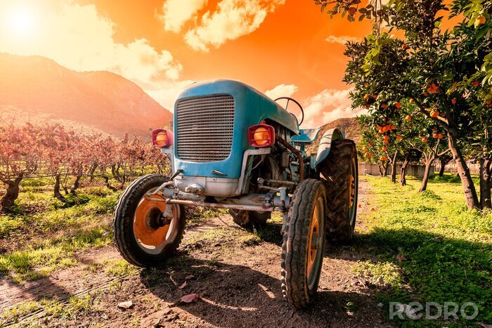 Fotobehang Zonsondergang op een oude lichtblauwe tractor voor landbouwgewassen