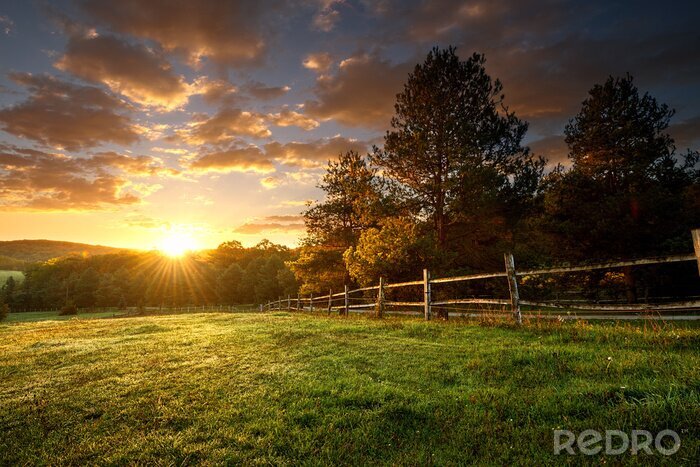 Fotobehang Zonsondergang over een groene weide