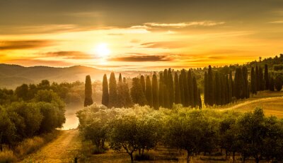 Fotobehang Zonsondergang over Toscaanse velden