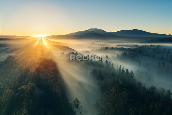 Fotobehang Zonsopgang boven een bos in het mistlandschap