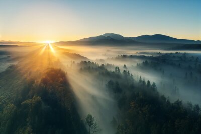 Fotobehang Zonsopgang boven een bos in het mistlandschap