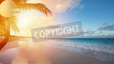 Fotobehang Zonsopgang, palmbomen en strand