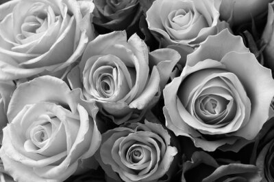 Fotobehang Zwart en wit boeket rozen