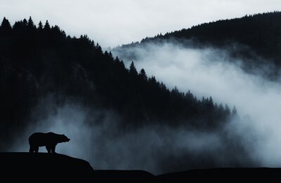 Fotobehang Zwart silhouet van een beer