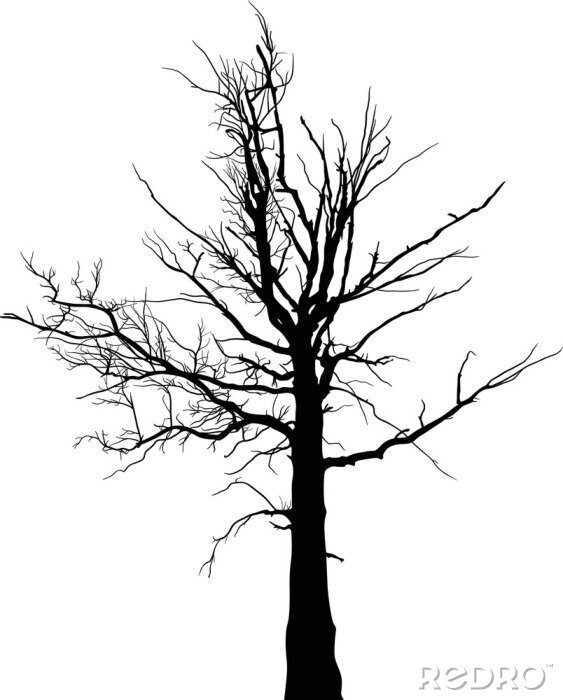 Fotobehang Zwart silhouet van een boom op een witte achtergrond