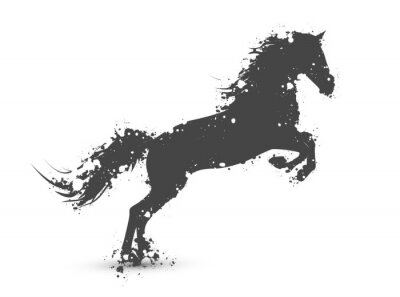 Fotobehang Zwart silhouet van een paard