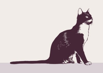 Fotobehang Zwart-wit afbeelding met een kat