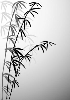 Fotobehang Zwart-wit bamboemotief