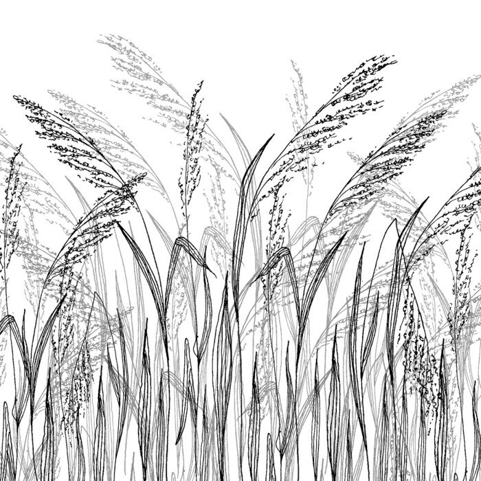 Fotobehang Zwart-wit gras