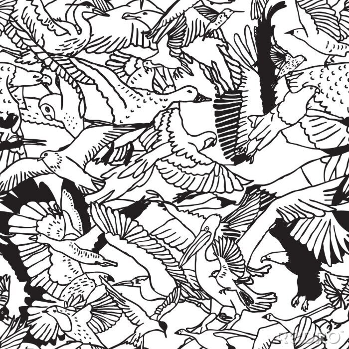 Fotobehang Zwart-wit illustratie met vogels