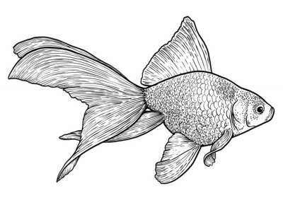Fotobehang Zwart-wit illustratie van een vis