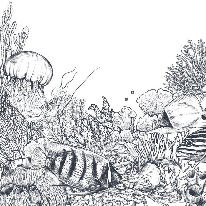 Fotobehang Zwart-wit koraalrif