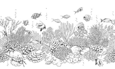 Fotobehang Zwart-wit koraalrif en vissen
