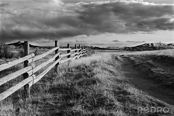 Fotobehang Zwart-wit landschap met de natuur