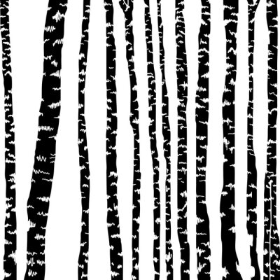 Zwart-wit motief met berkenbomen