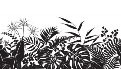 Fotobehang Zwart-wit motief met planten