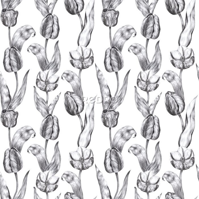 Fotobehang Zwart-wit motief met tulpen