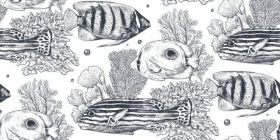 Fotobehang Zwart-wit ontwerp van de zee met vissen