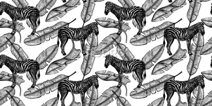 Fotobehang Zwart-wit ontwerp van zebra's tussen bananenbladeren