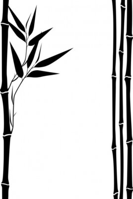 Fotobehang Zwart-wit patroon met bamboe