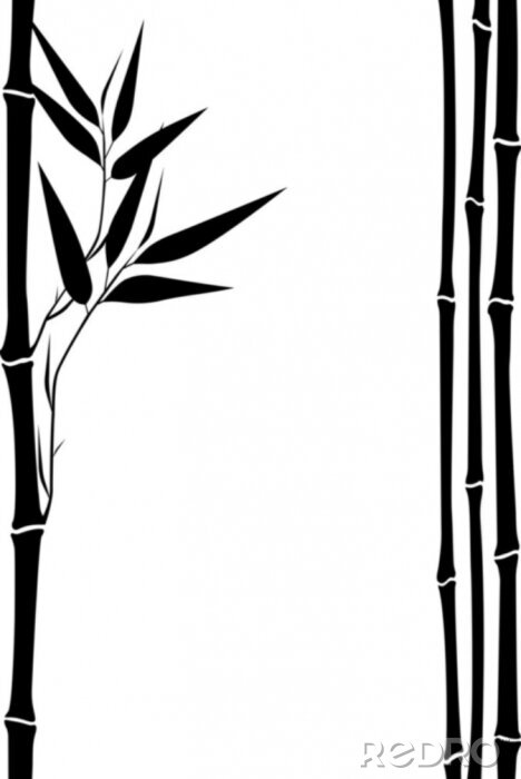 Fotobehang Zwart-wit patroon met bamboe