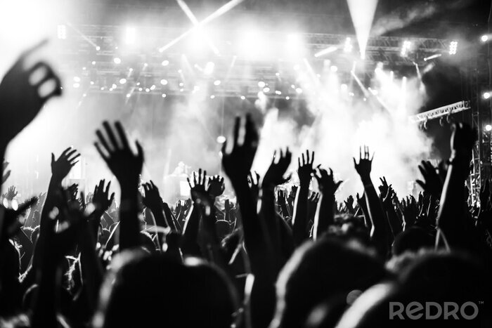 Fotobehang Zwart-wit publiek bij concert
