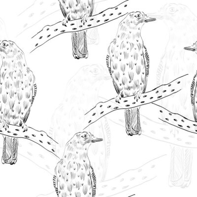Fotobehang Zwart-wit schets met vogels